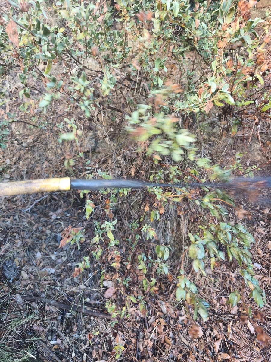 Rinçage du circuit de chauffage : l'eau chargée est évacuée jusqu'à ressortir claire